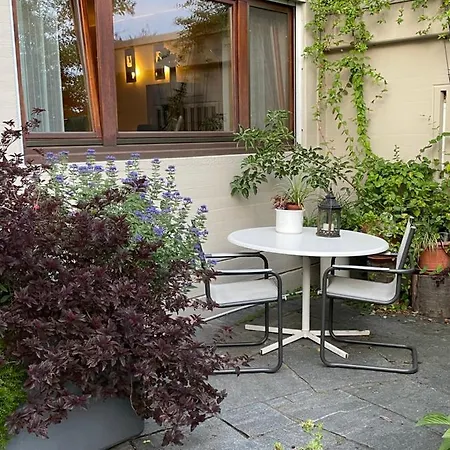 Urban - Jasmin -- * Meersburg