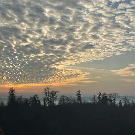 아파트 Urban - Jasmin -- *