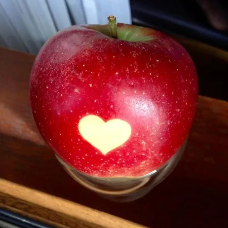 Urban - Jasmin -- 미르스부르크