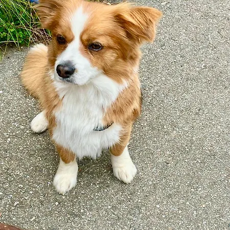 아파트 Urban - Jasmin -- *