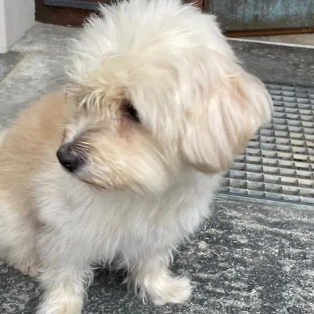 Urban - Jasmin -- 아파트