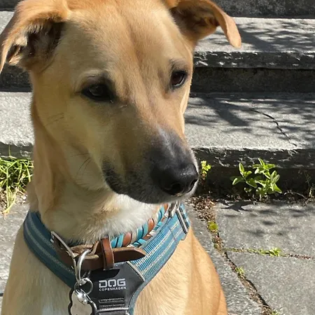 아파트 Urban - Jasmin --