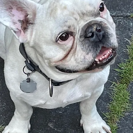 아파트 Urban - Jasmin -- *