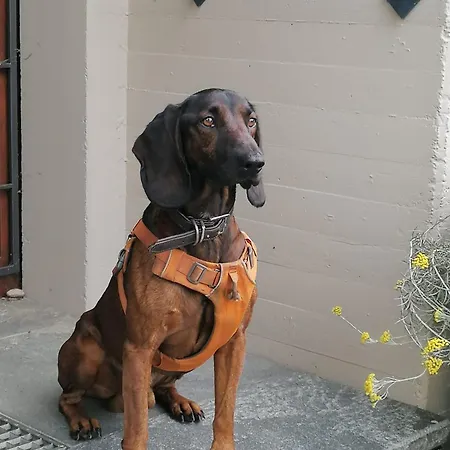 Urban - Jasmin -- 아파트