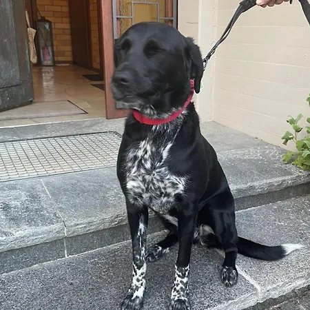 아파트 Urban - Jasmin -- 미르스부르크