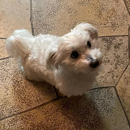 Urban - Jasmin -- 아파트