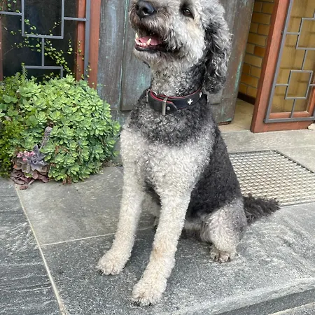 Urban - Jasmin -- 아파트