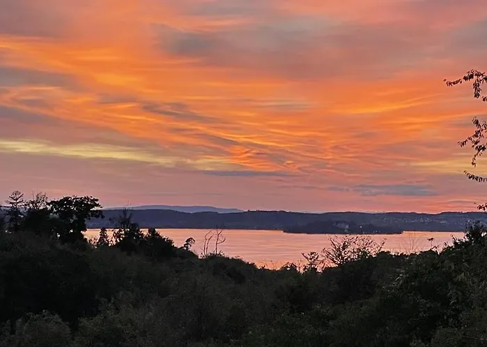 Apartament Urban - Jasmin -- *