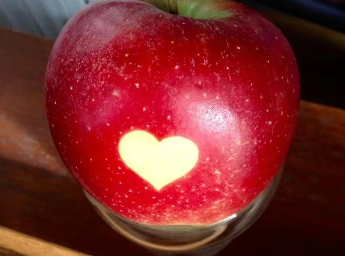 Urban - Jasmin -- Meersburg