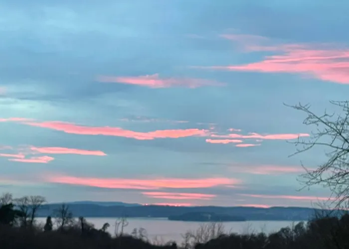 Urban - Jasmin -- * Meersburg